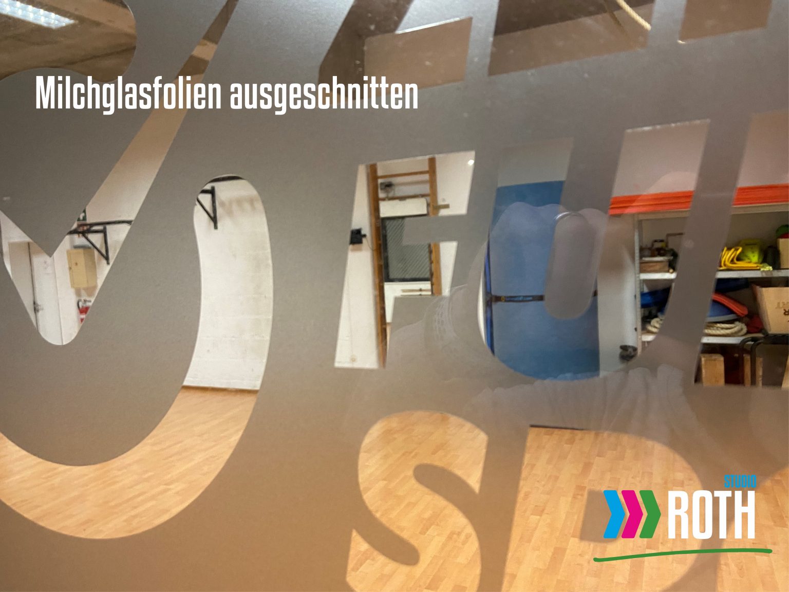 Schaufenster vom Studio-Roth in Bensheim an der Bergstraße